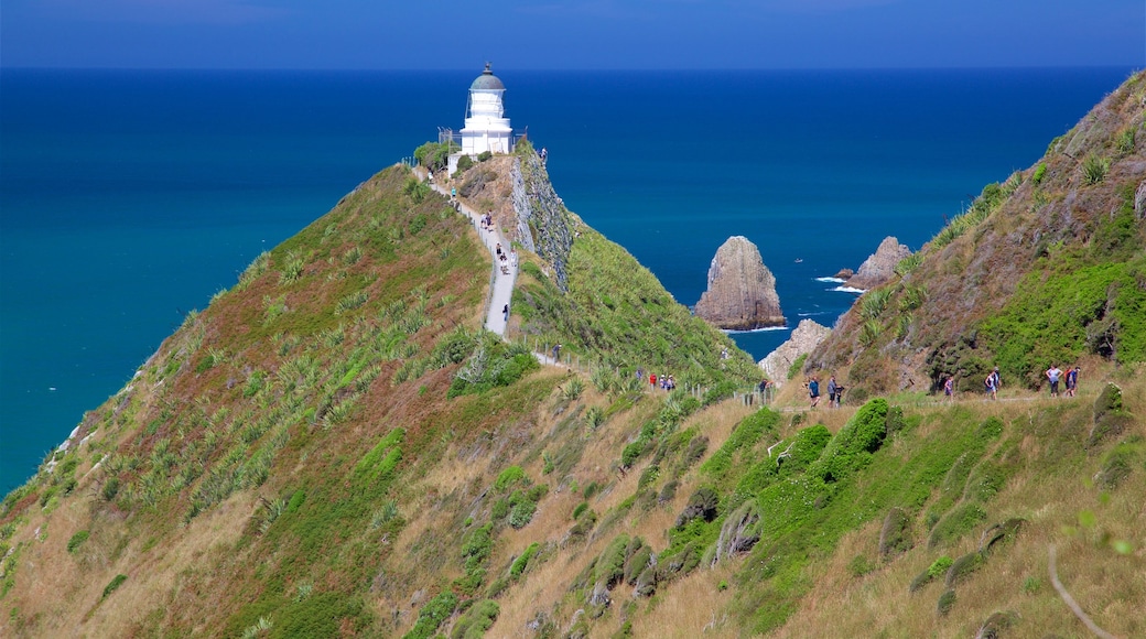 Nugget Point Lighthouse welches beinhaltet Felsküste und Leuchtturm