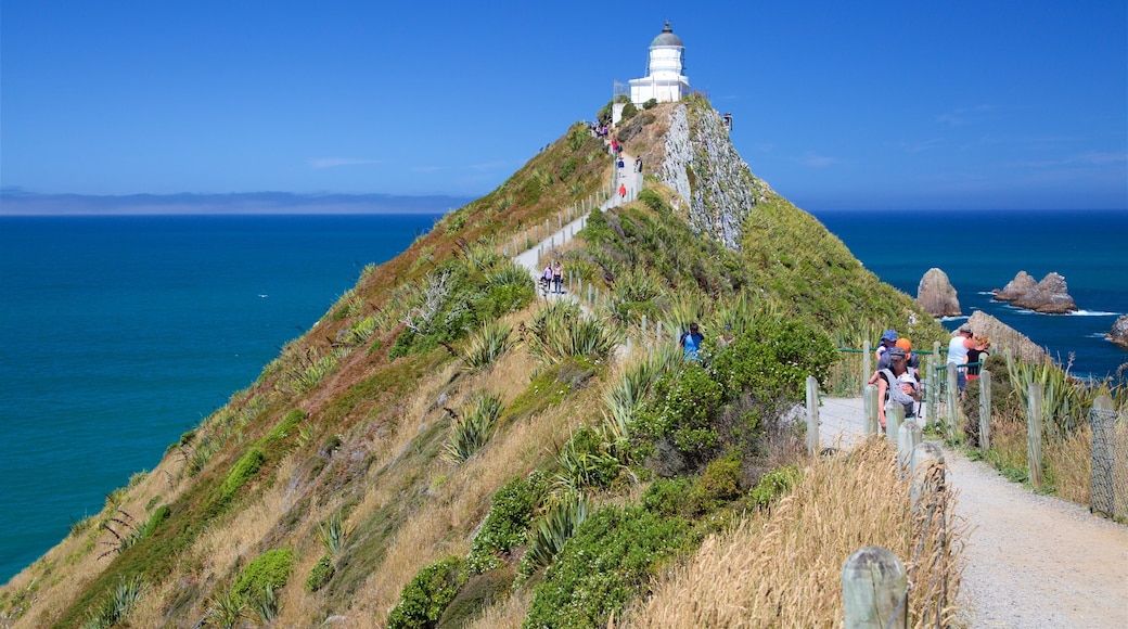 Ahuriri Flat which includes general coastal views and a lighthouse