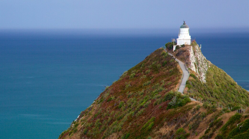 Ahuriri Flat featuring general coastal views and a lighthouse