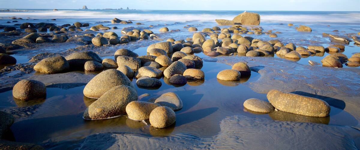 Cape Foulwind featuring rocky coastline and general coastal views
