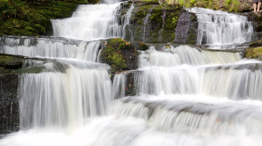 Cascadas McLean ofreciendo una cascada