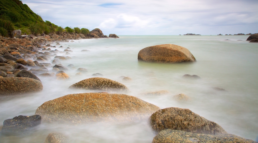 Tauranga Bay Seal Colony