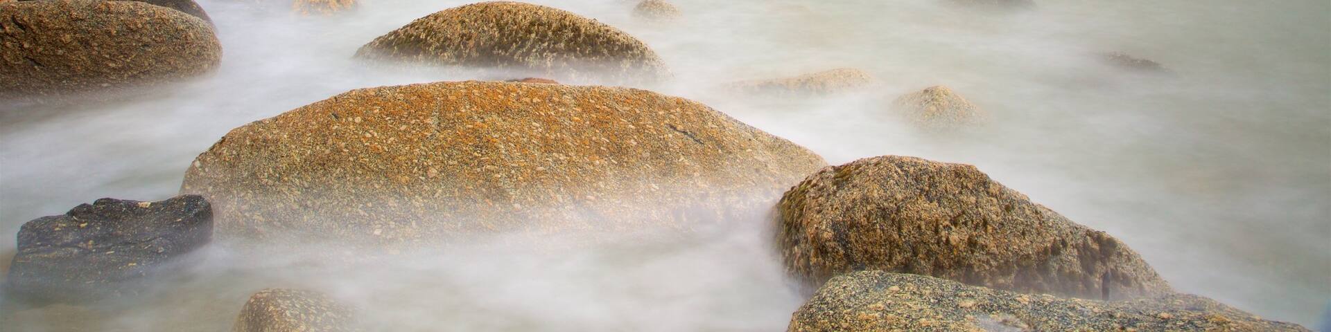 Colonie de phoques de la baie de Tauranga qui includes cÎte escarpée
