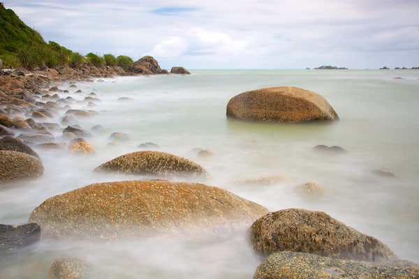 Tauranga Bay Seal Colony which includes rocky coastline
