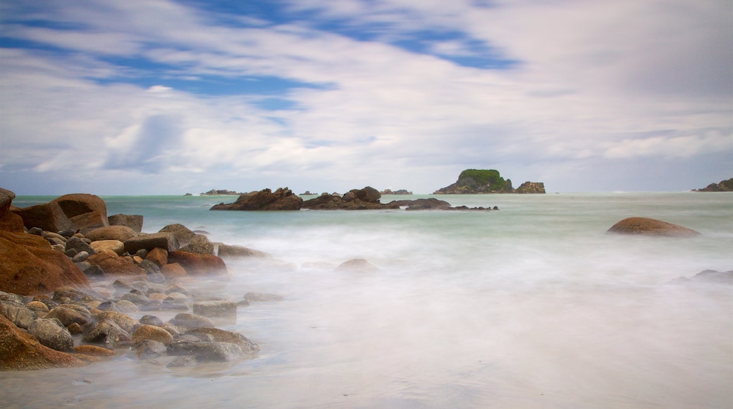 Tauranga Bay Seal Colony showing rugged coastline