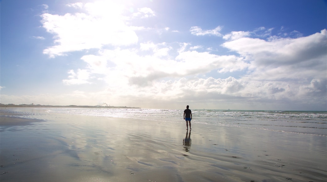 Tauranga Bay Seal Colony which includes a sunset, general coastal views and a beach