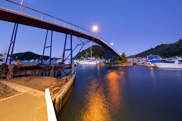 Picton Harbour showing boating, night scenes and a bridge