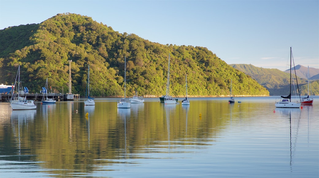 Picton Harbour showing sailing, forests and a bay or harbor