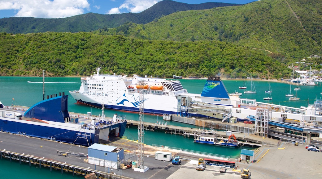 Picton Harbour showing a marina, mountains and forests