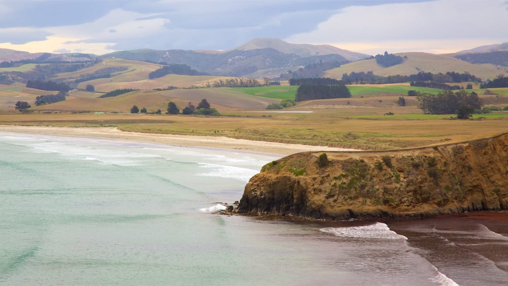 Phare de Moeraki mettant en vedette scĂšnes tranquilles, baie ou port et plage