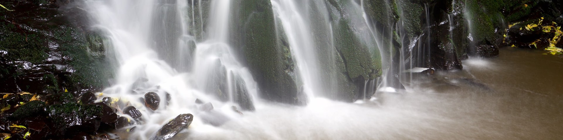 Matai Falls featuring a cascade and forests