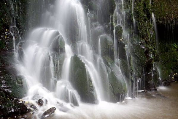 Matai Falls featuring a cascade and forests