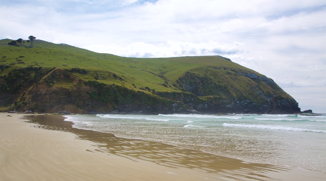 Cannibal Bay Beach which includes waves, a beach and rugged coastline