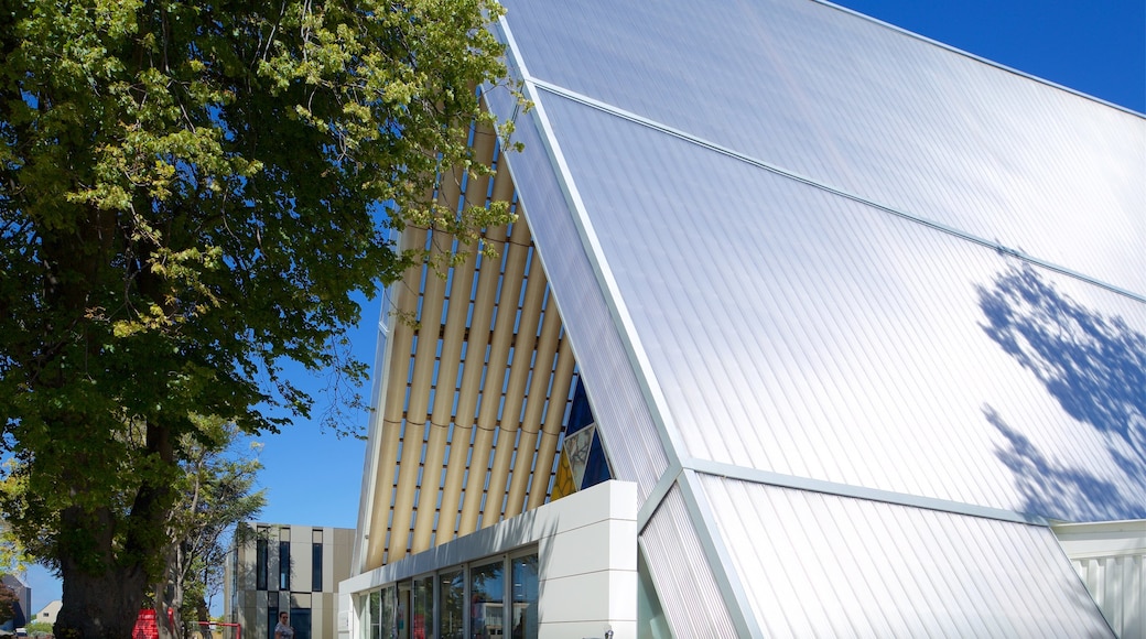 Cardboard Cathedral which includes modern architecture