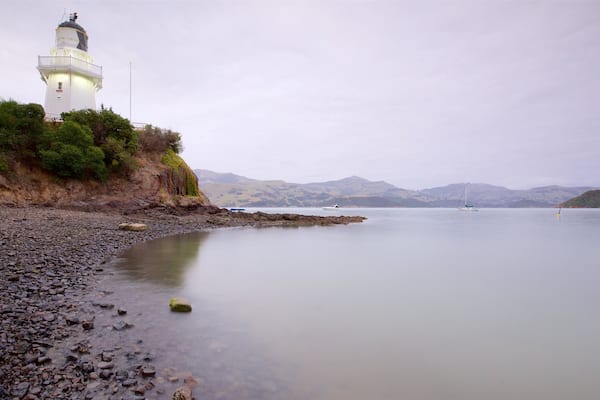 Akaroa mit einem Leuchtturm, Steinstrand und Bucht oder Hafen