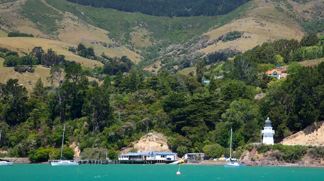 Akaroa Lighthouse bevat vredige uitzichten, een vuurtoren en een baai of haven