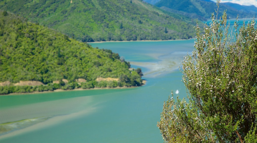 Picton showing forests, mountains and a bay or harbour