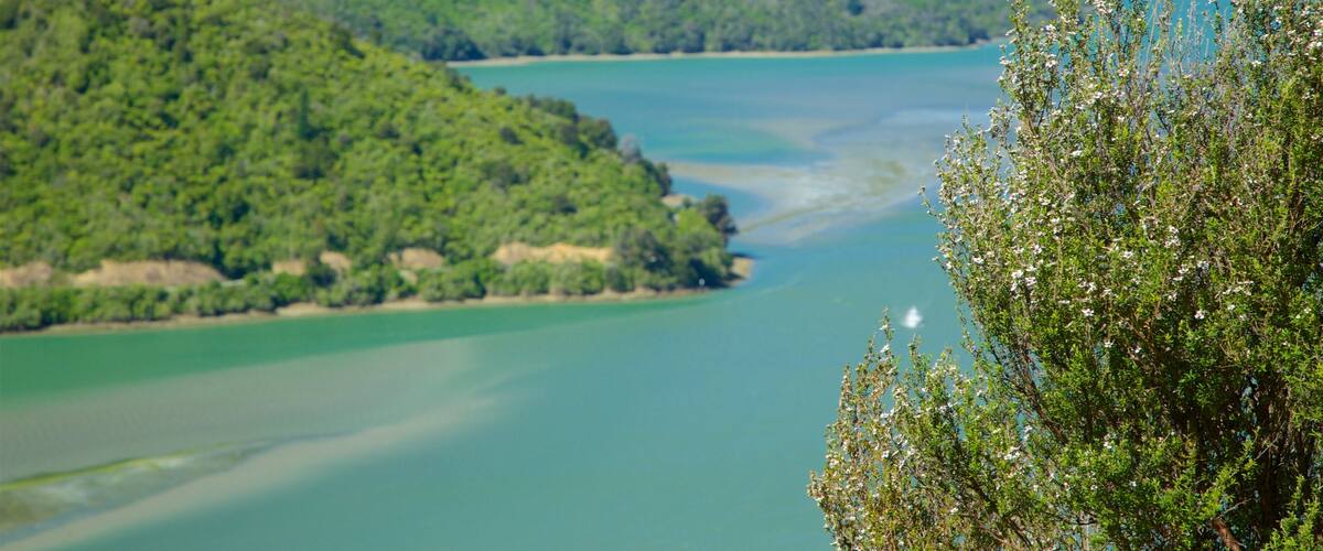 Picton showing forests, mountains and a bay or harbour