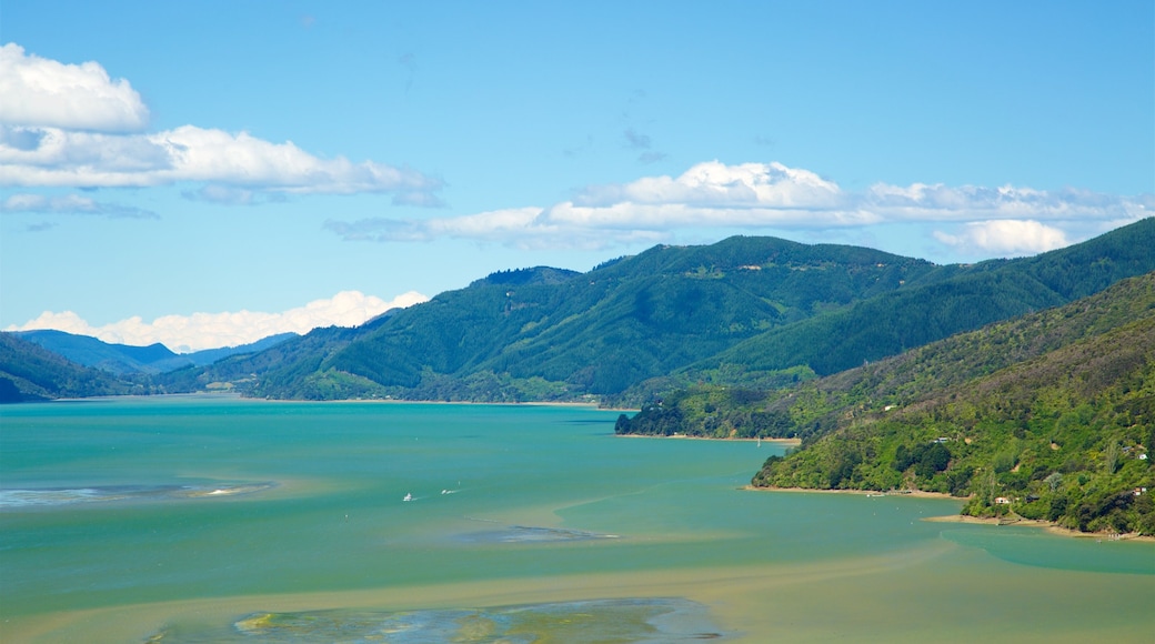 Picton que incluye montañas, una bahía o un puerto y imágenes de bosques