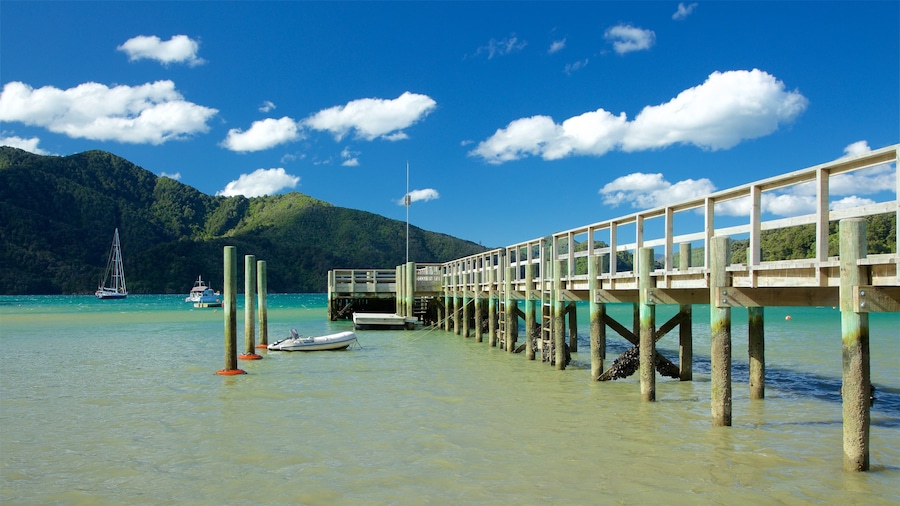Picton inclusief bos, varen en een baai of haven