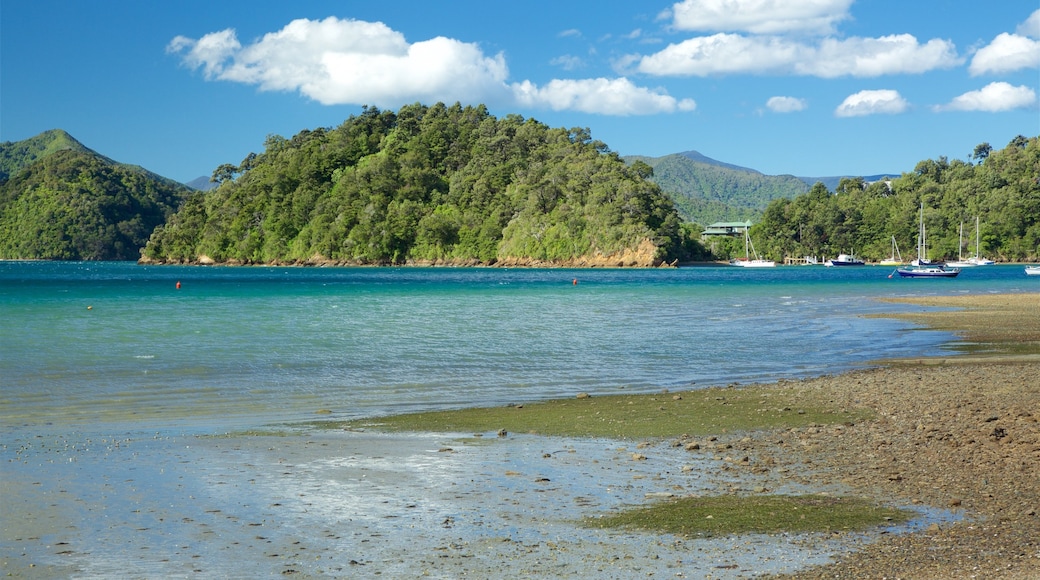 Ngakuta Bay mostrando escenas tranquilas, una playa de piedras y una bahía o un puerto