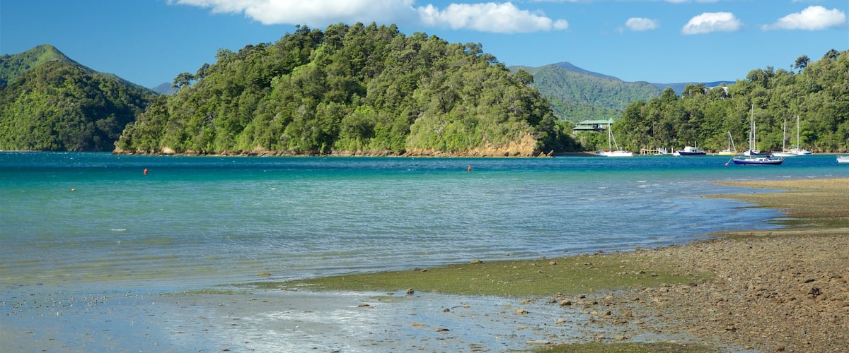 Ngakuta Bay showing a pebble beach, tranquil scenes and a bay or harbour