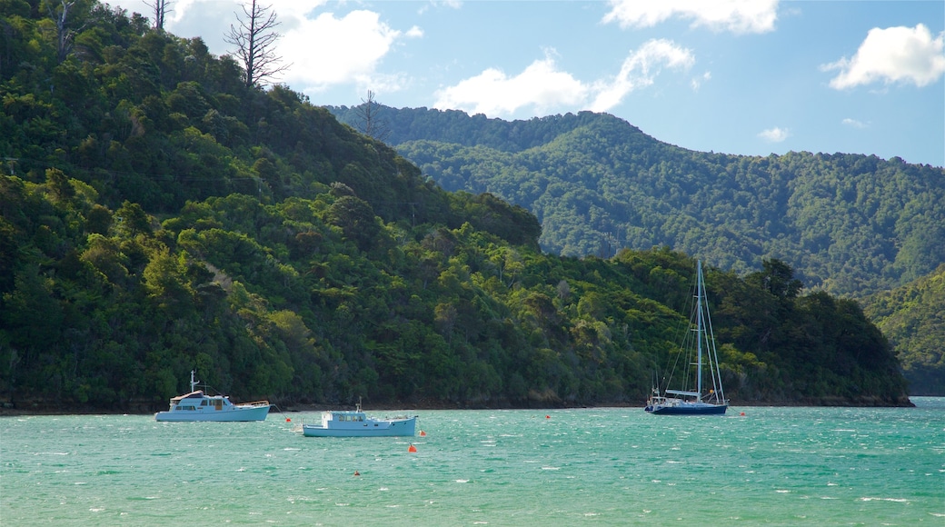 Picton showing boating, mountains and sailing