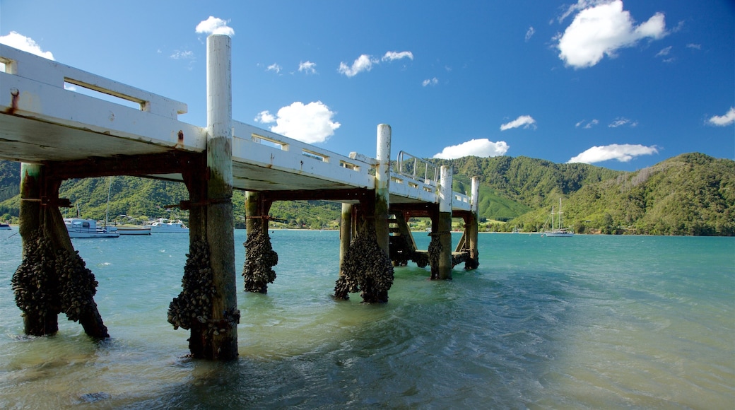 Picton inclusief een baai of haven, bossen en bergen