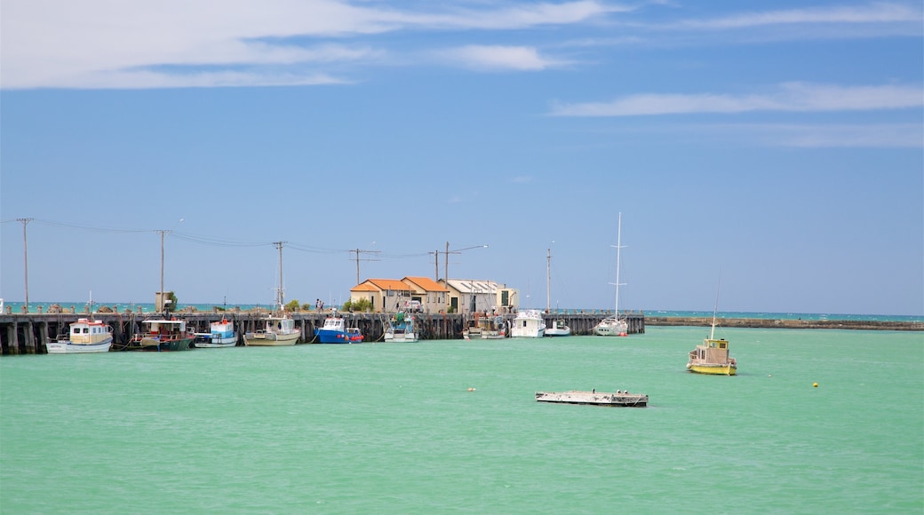 Oamaru ofreciendo paseos en lancha y una bahía o puerto