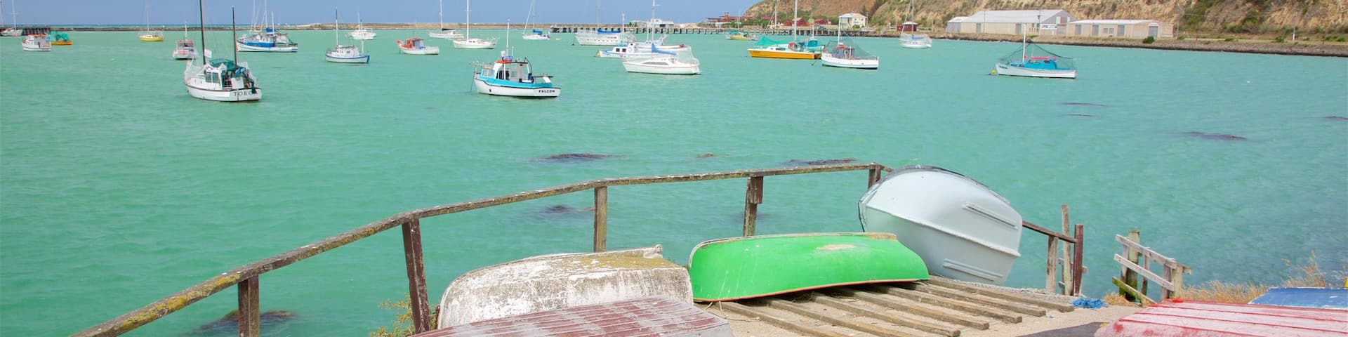 Oamaru showing a bay or harbor, boating and rugged coastline