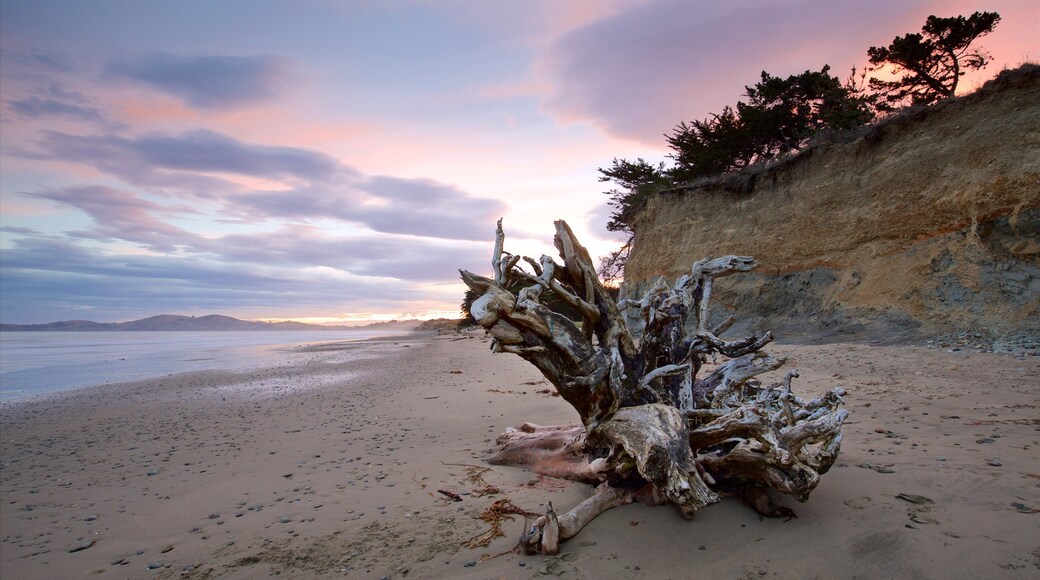 Oamaru showing a beach, a bay or harbour and a sunset