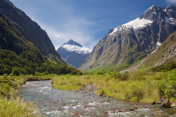 Fjordland National Park welches beinhaltet Berge und Fluss oder Bach