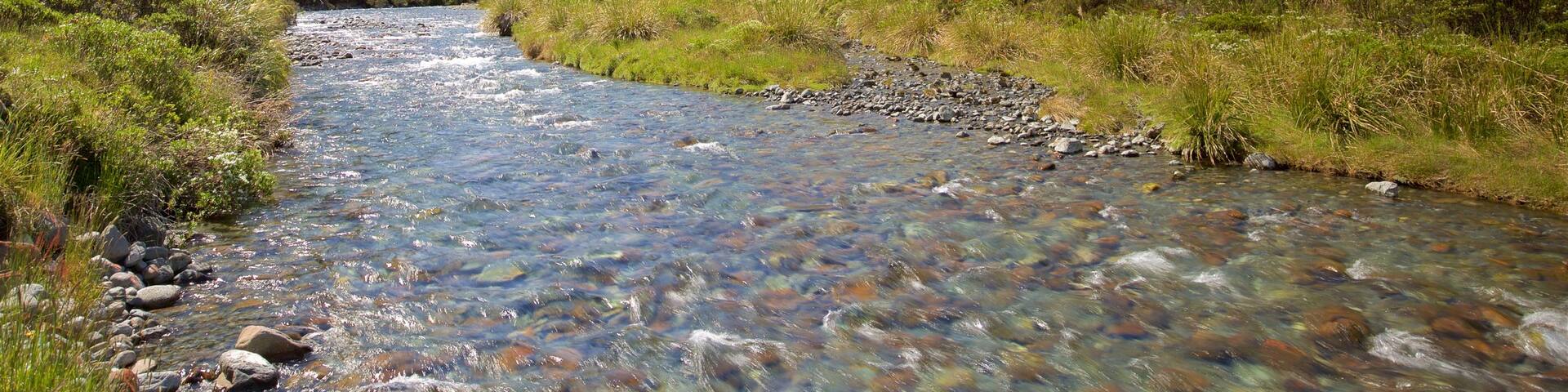 Fiordland National Park which includes mountains and a river or creek