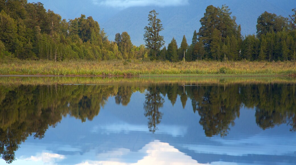 Fox Glacier which includes mountains, a lake or waterhole and forest scenes