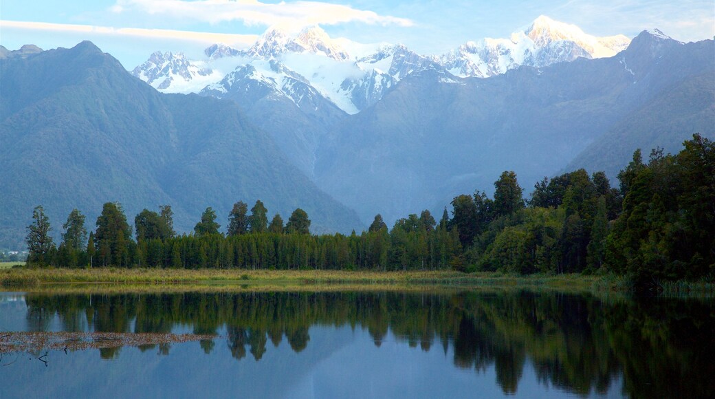 Fox Glacier ซึ่งรวมถึง ทะเลสาบหรือแอ่งน้ำ, หิมะ และ ป่า