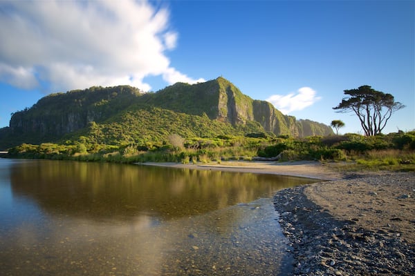Punakaiki montrant montagnes et riviĂšre ou ruisseau