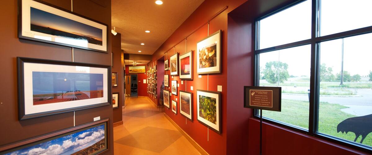 Grand Island which includes art, interior views and zoo animals