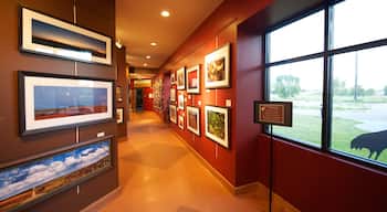 Grand Island caratteristiche di arte, vista interna e animali da zoo