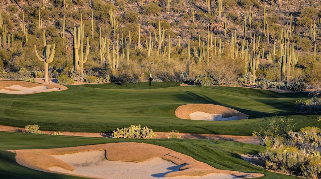Foto proporcionada por The Golf Club at Dove Mountain/Discover Marana