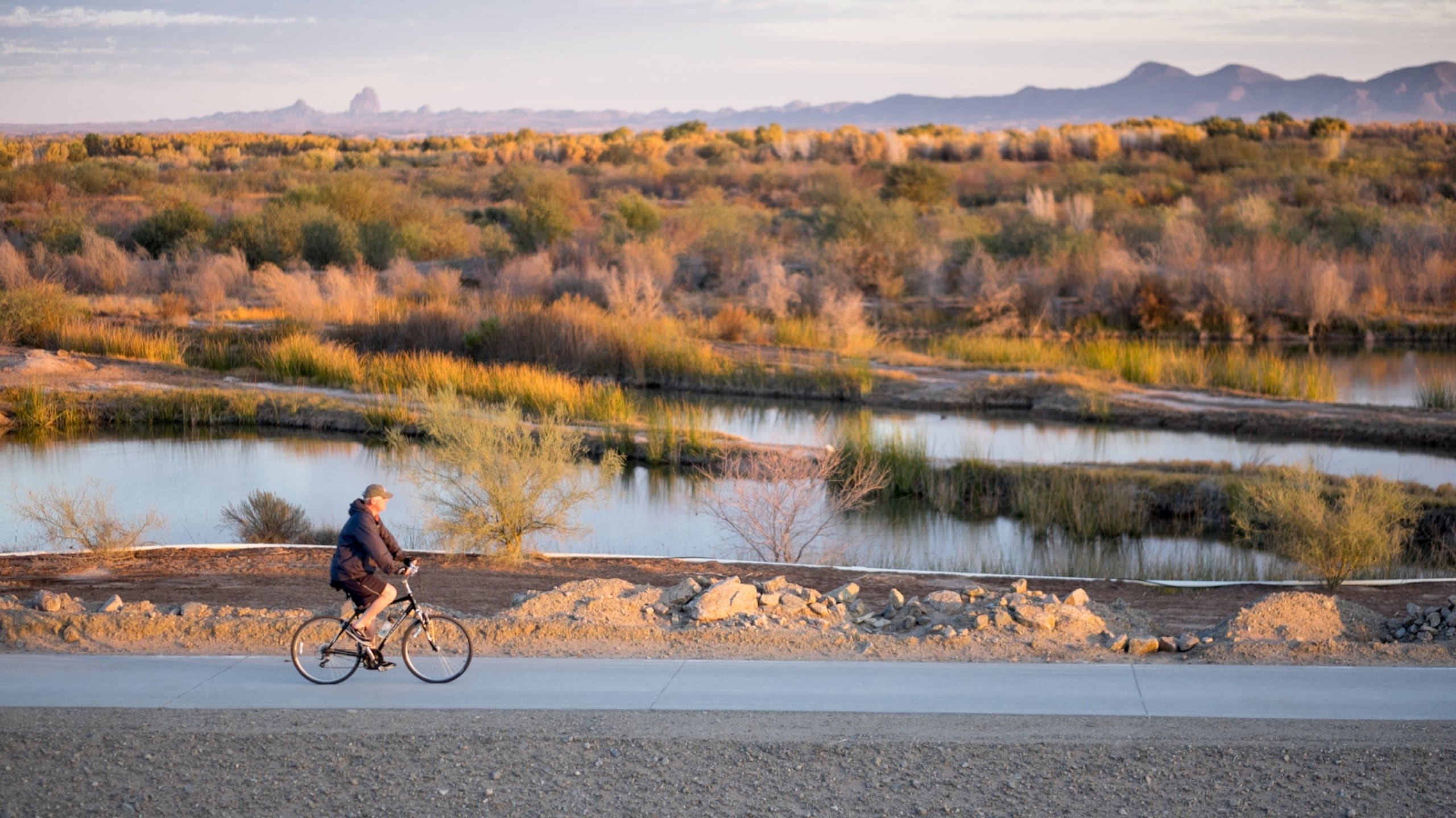 Yuma featuring wetlands, cycling and mountains