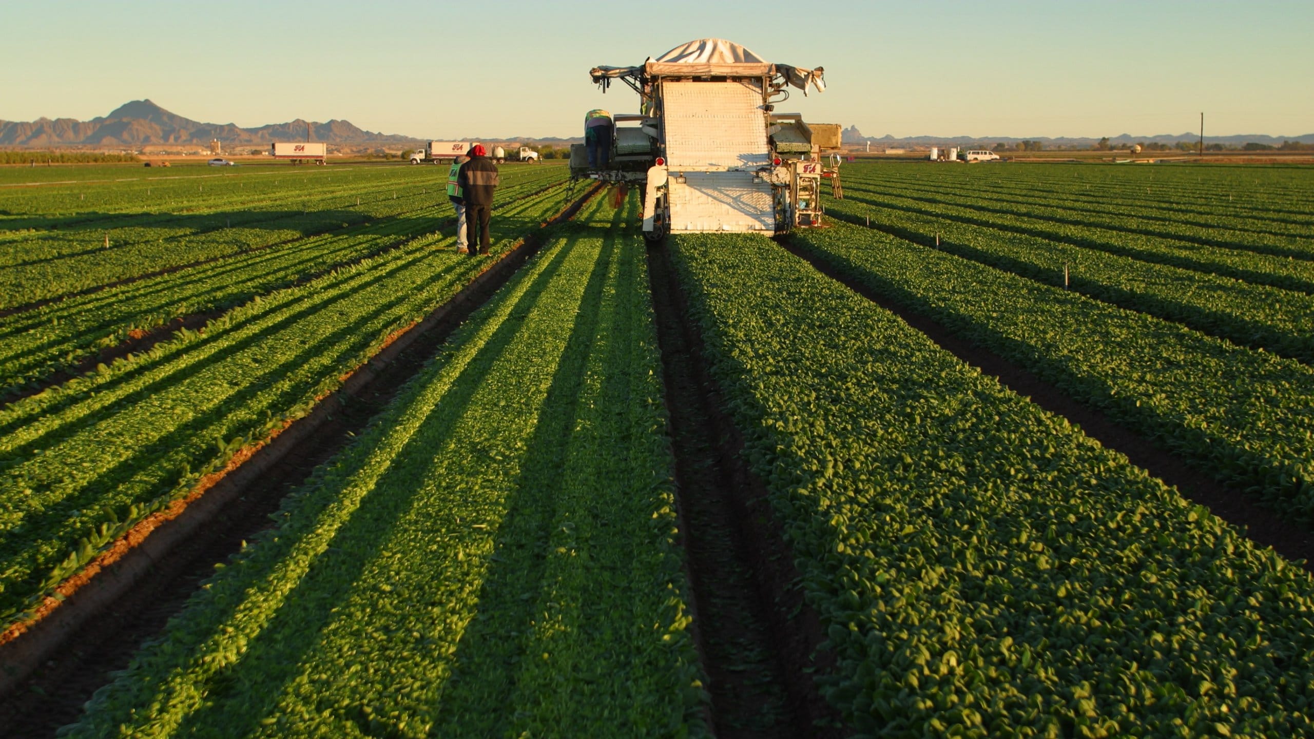 Yuma which includes farmland