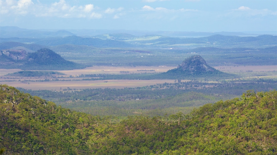 Mount Archer National Park which includes forests and landscape views