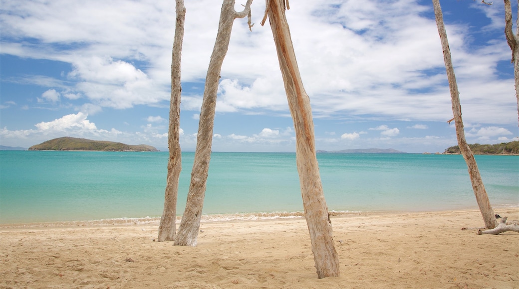 Great Keppel Island johon kuuluu ranta, saarinäkymät ja yleiset rantanäkymät