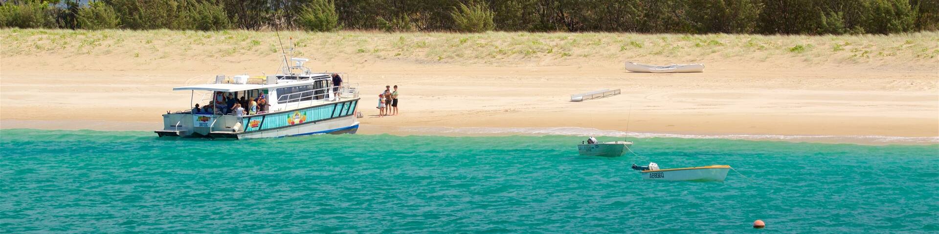 Great Keppel Beach mit einem allgemeine KĂŒstenansicht, Strand und FĂ€hre