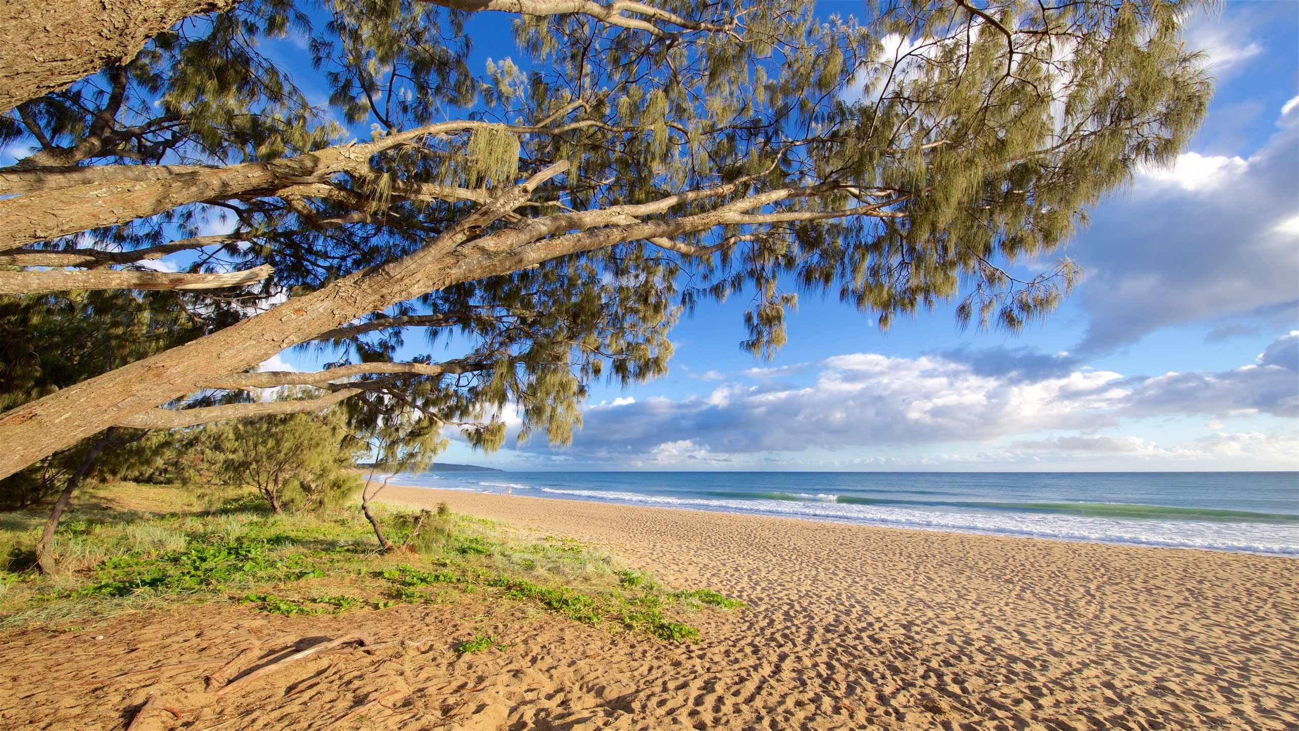 Visit Agnes Water 2024 Travel Guide for Agnes Water, Queensland Expedia