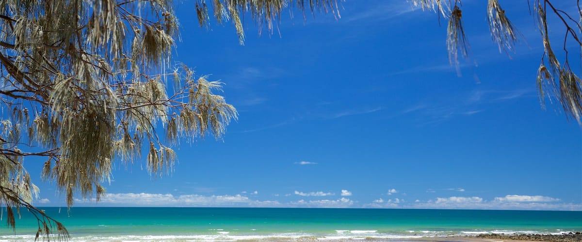 Bargara
