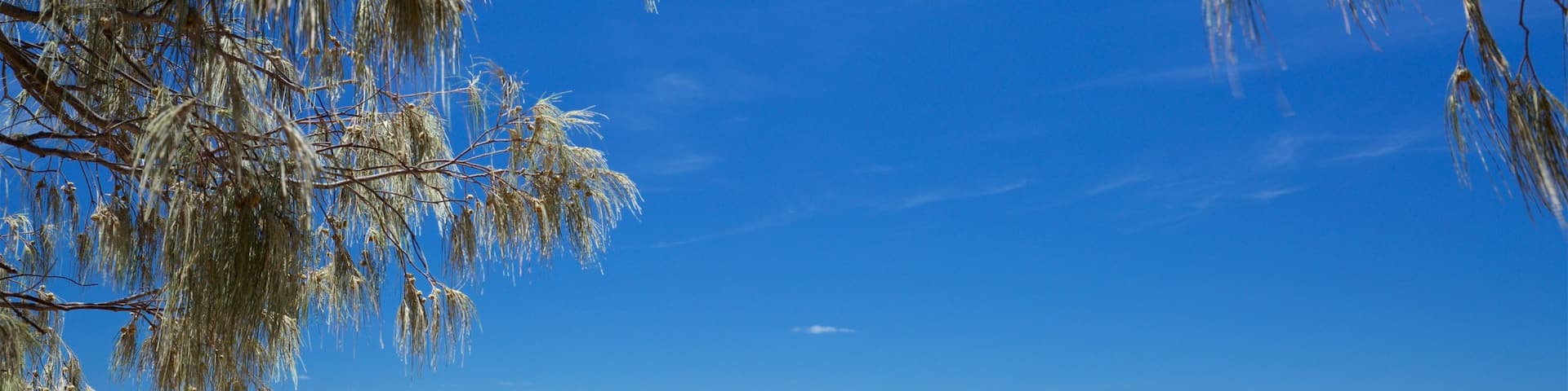 Bargara