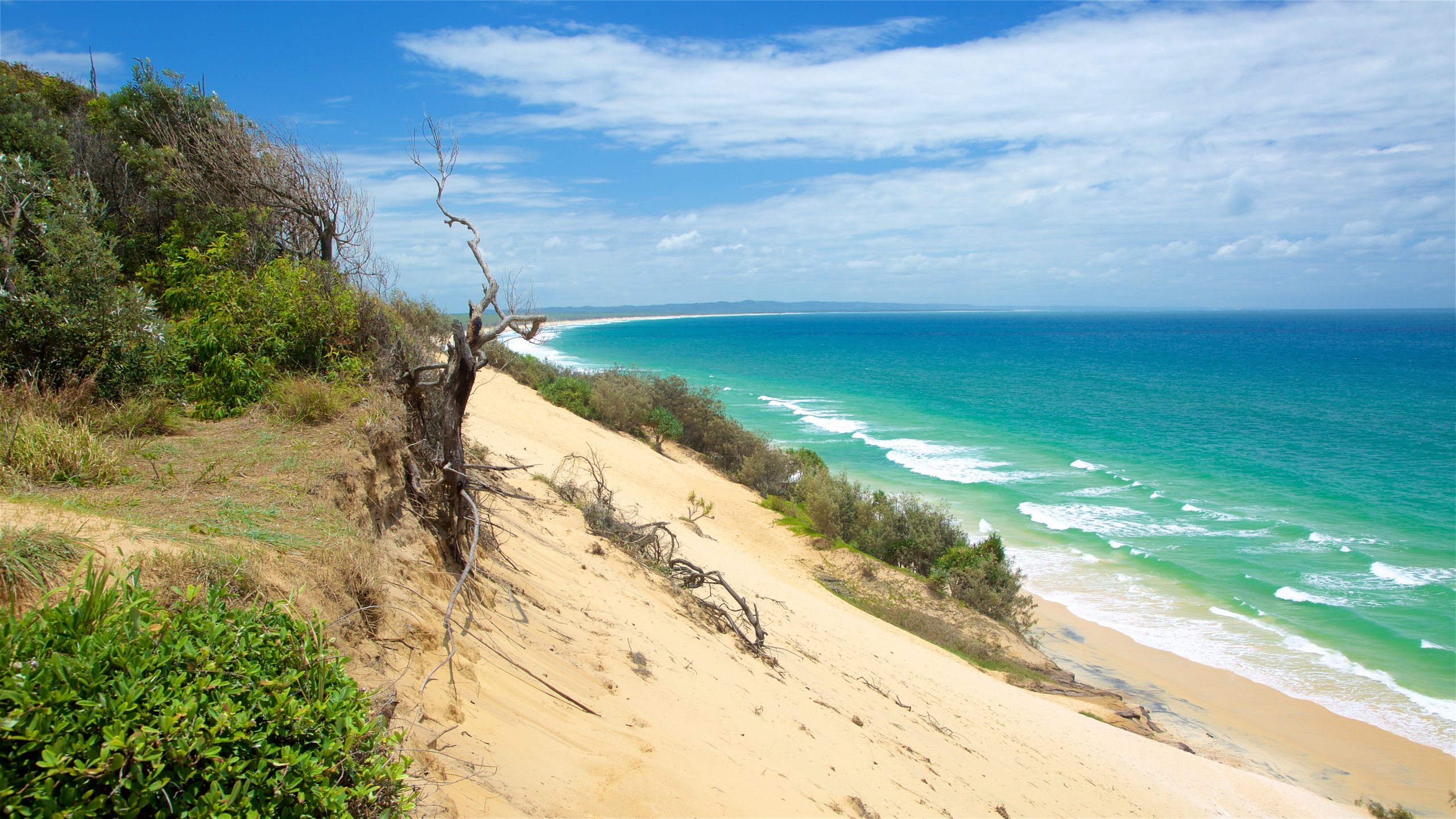 Maroochydore beach deals