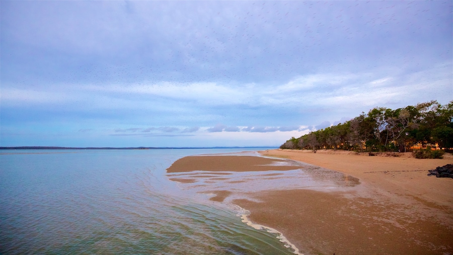 Urangan montrant plage et vues littorales