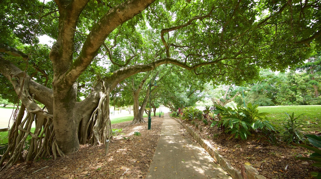 Queens Park mit einem Park